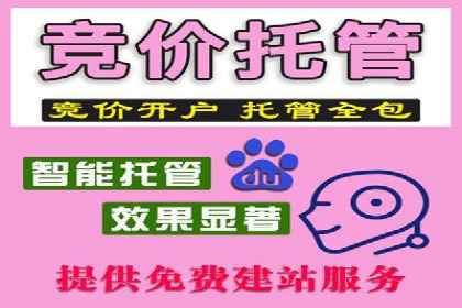 揭秘SEM竞价托管，案例展示效果